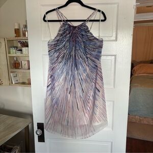 White House Black Market Burst Shift Dress